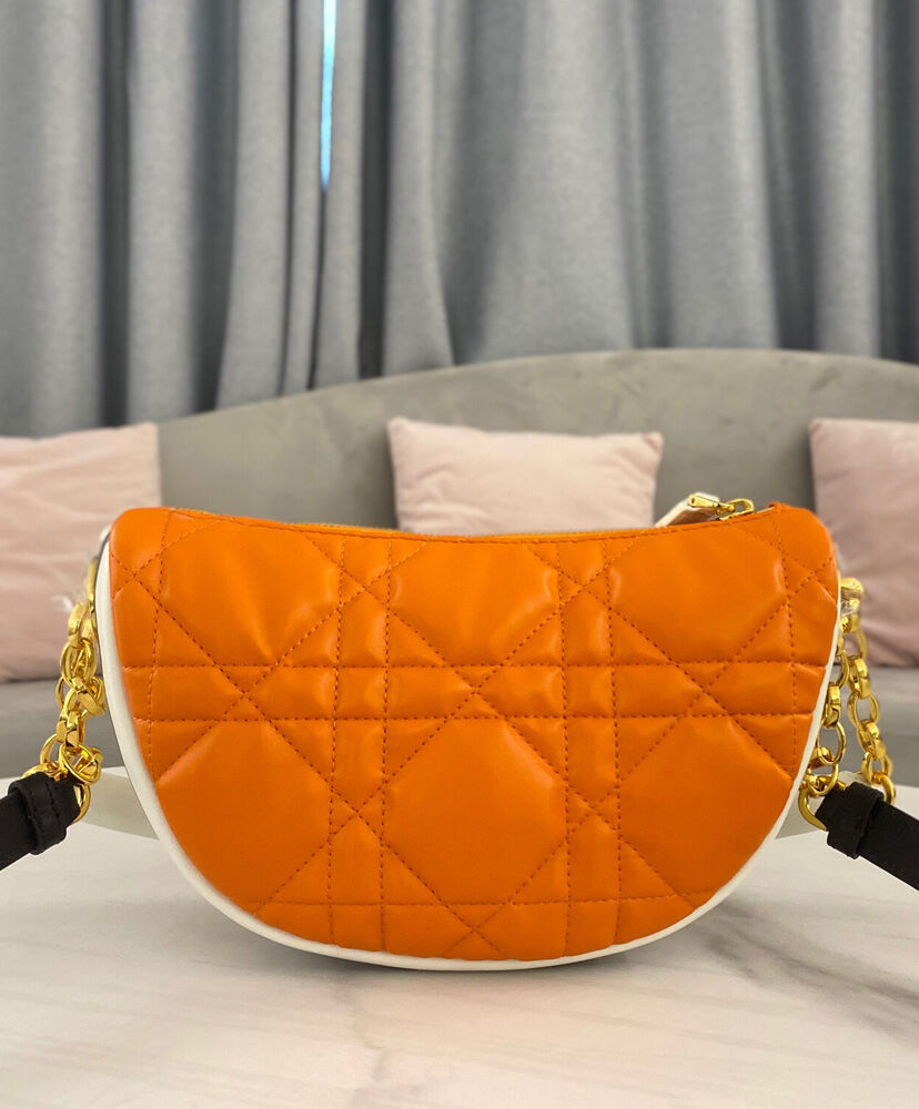 Christian Dior Vibe HOBO Leather Bag Orange